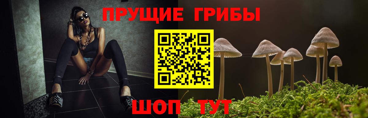 Галлюциногенные грибы Magic Shrooms  Вход с VPN  Галлюциногенные грибы мухоморы  Усолье-Сибирское 